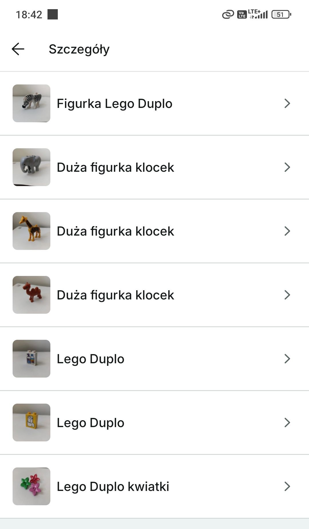 Zestaw klocków LEGO Duplo
