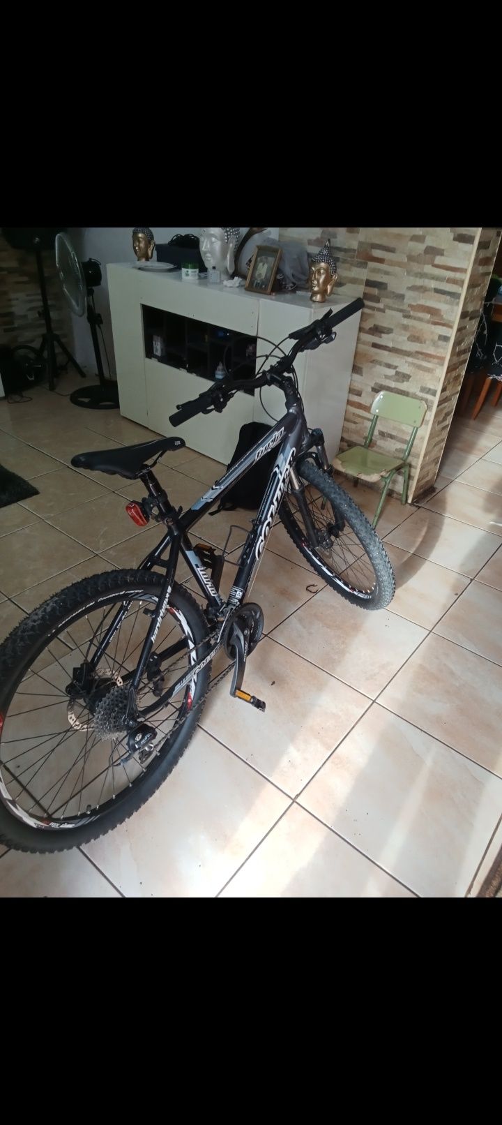 Bicicleta btt tá com novo