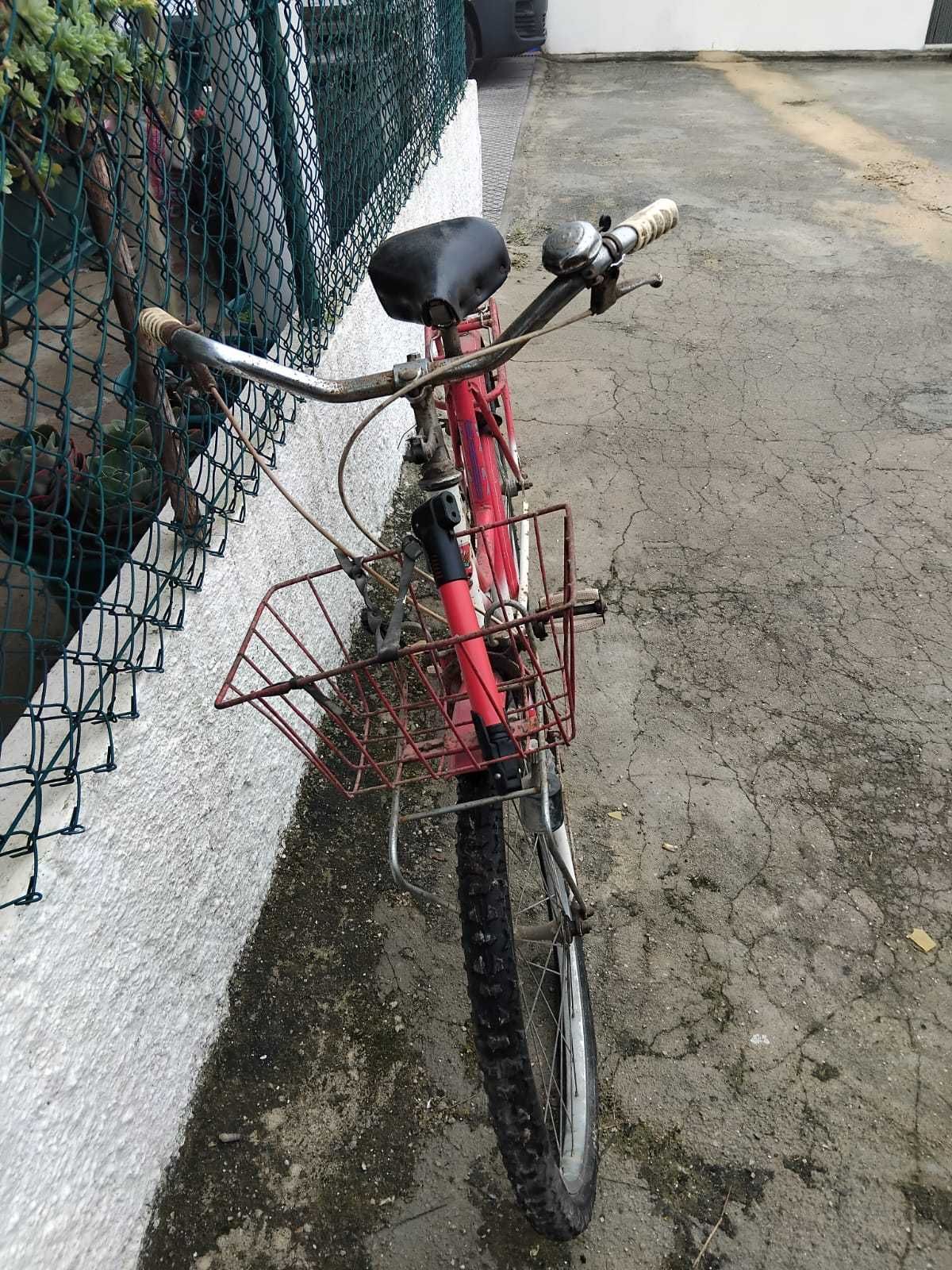 Bicicleta pasteleira