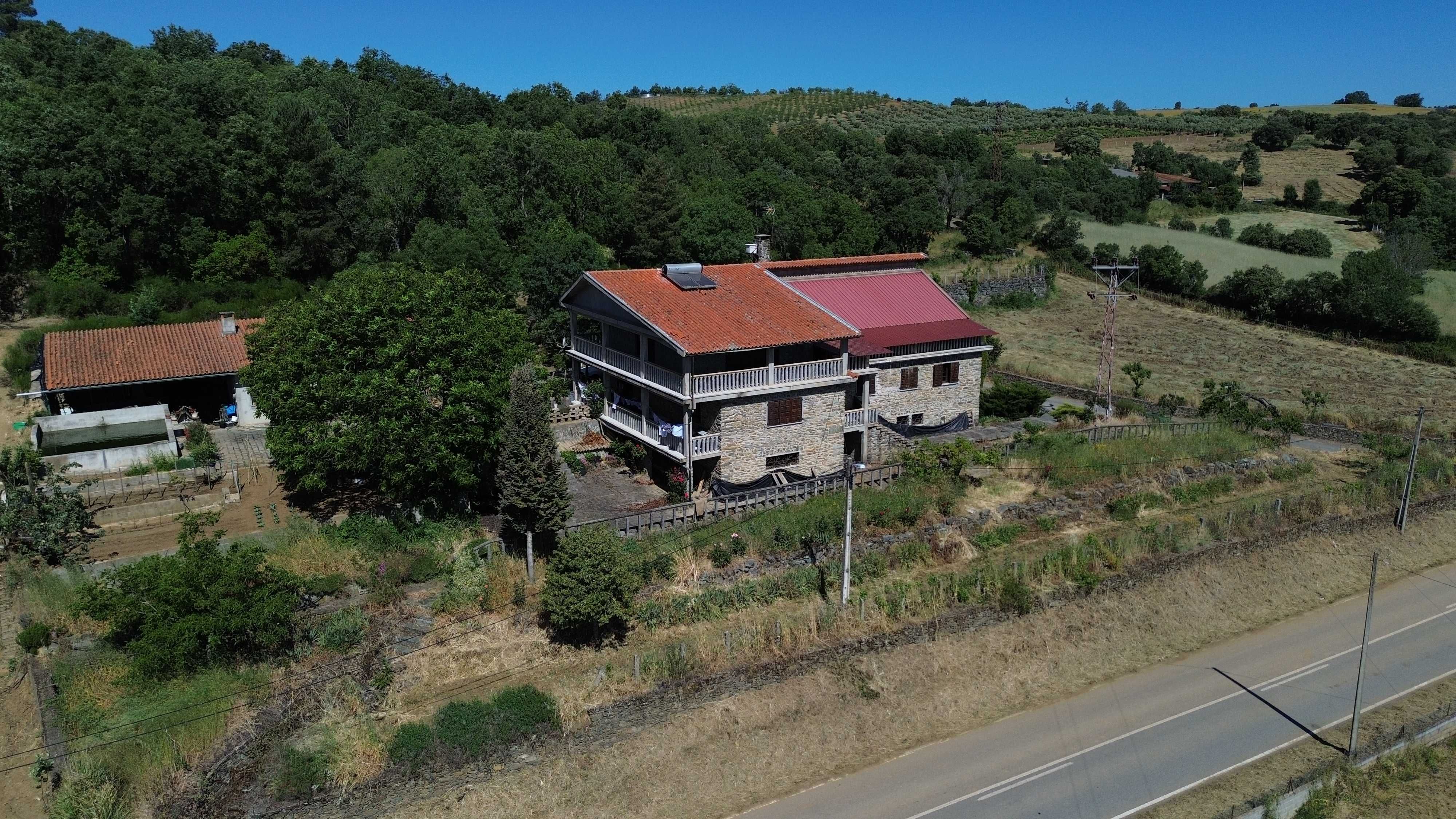 Oportunidade Única: Magnífica Quinta de 6 Hectares - Casa e Estábulos!