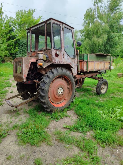 Трактор хтз т-16