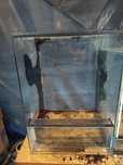 Sprzedam terrarium pionowe