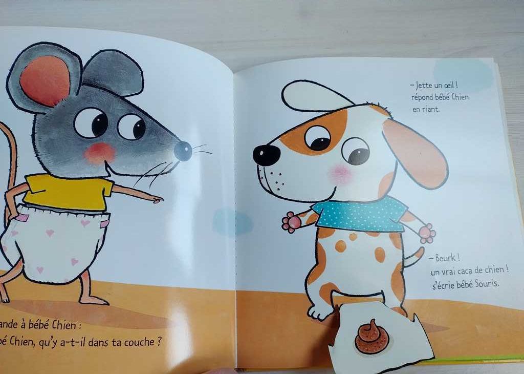 Książka francuska dla dzieci Livre français pour enfants avec rabats