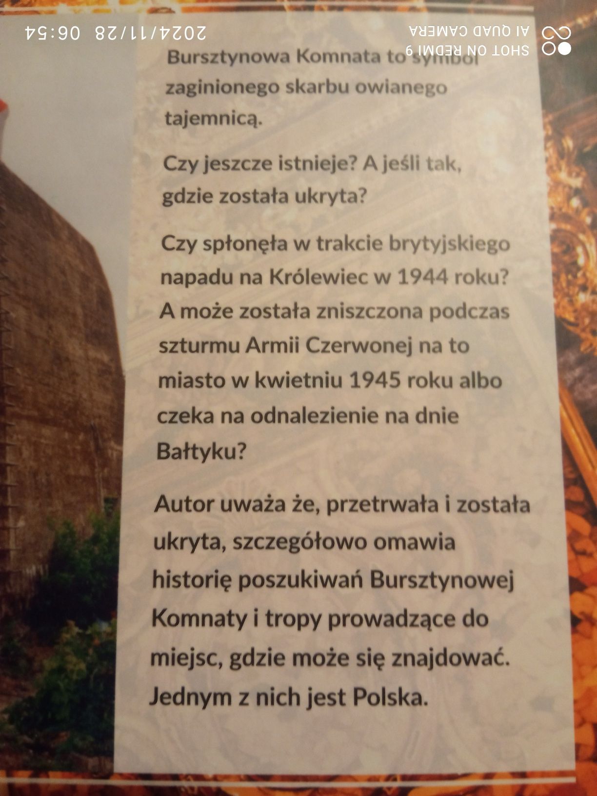 Poszukiwacze zaginionej komnaty polskie tropy