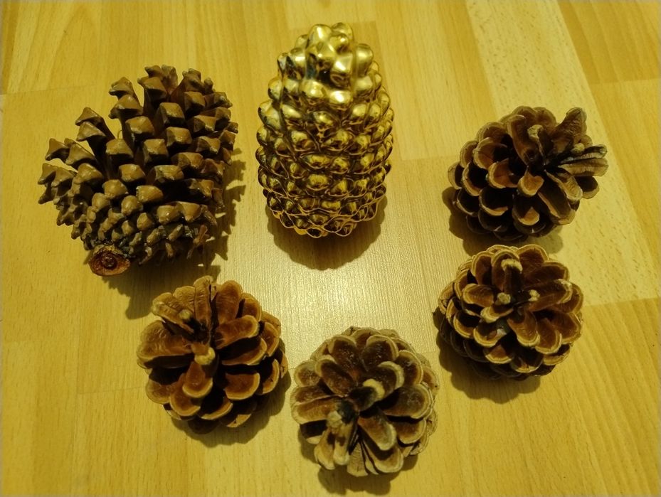 Zestaw BN Sznur światełek LED śnieżnobiały kolor światła 19 m+ szyszki