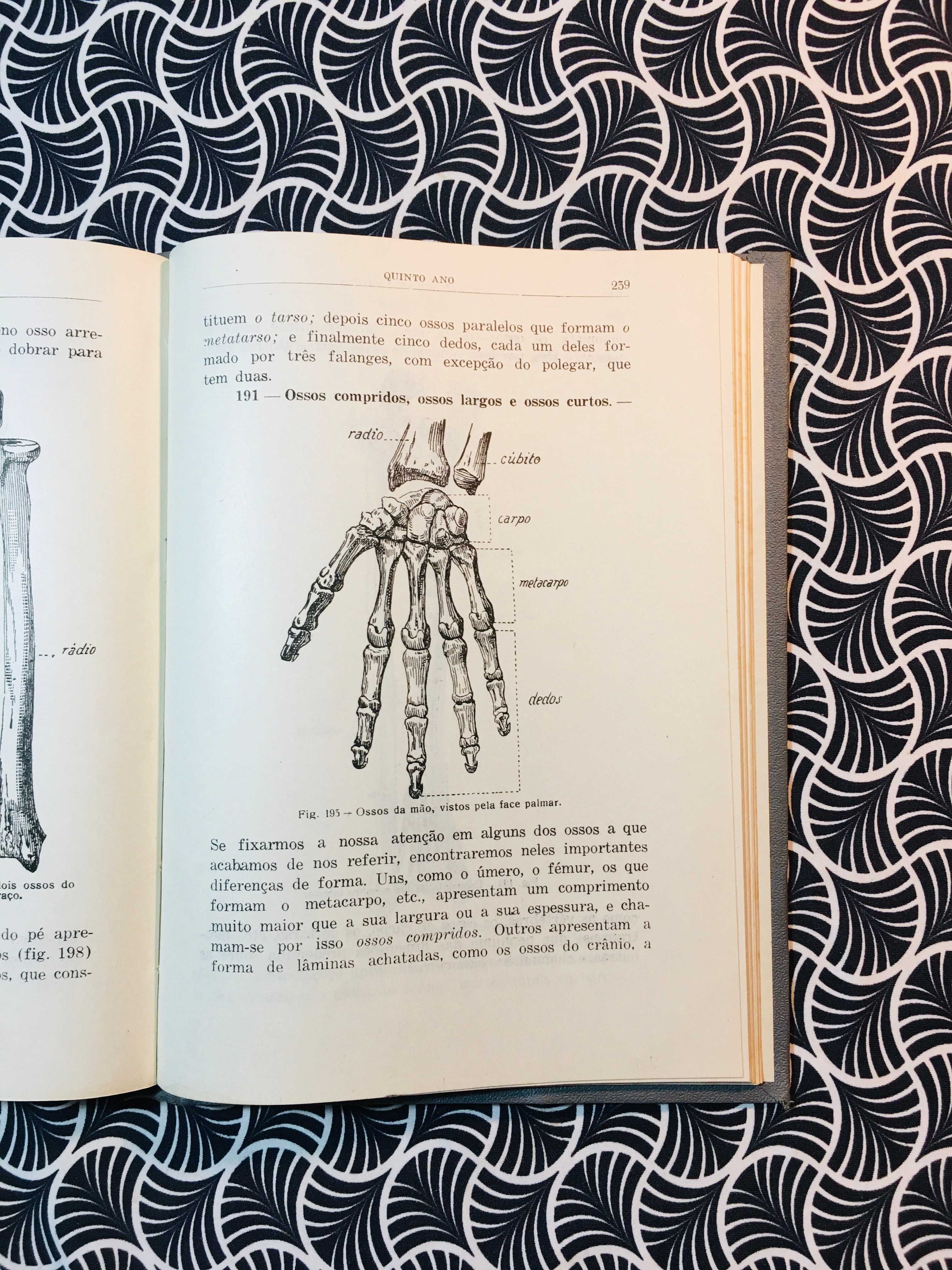 Compêndio de Zoologia - Augusto C. G. Soeiro