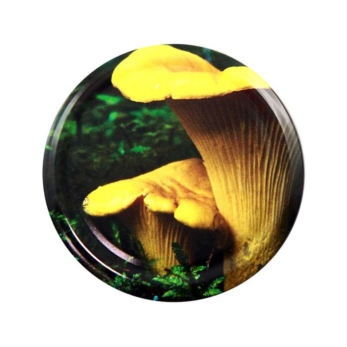 100 szt.  Zakrętka 82/6 GRZYBY MIX