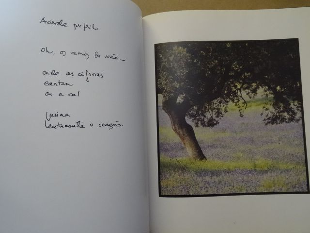 O Comum da Terra de Eugénio de Andrade