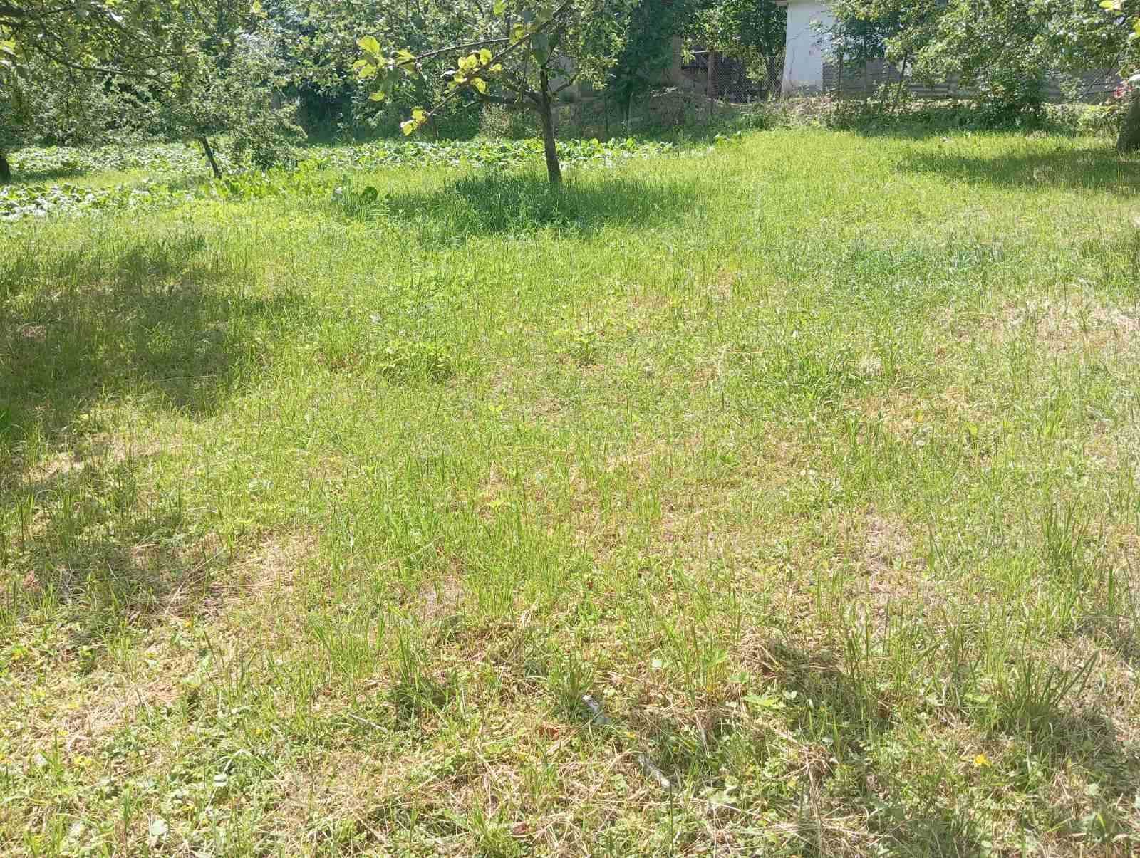 (3) Продам земельну дялнку в с. Щітки 0756