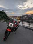 KTM 890 GP - Um Lobo no meio das ovelhas.