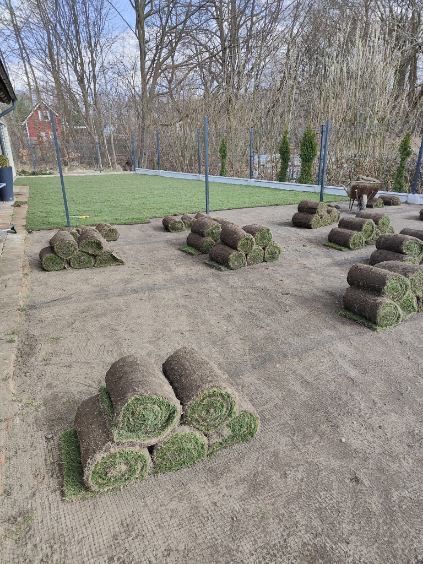 Trawa w rolce trawa z rolki 40m2 z dostawą pod sam dom