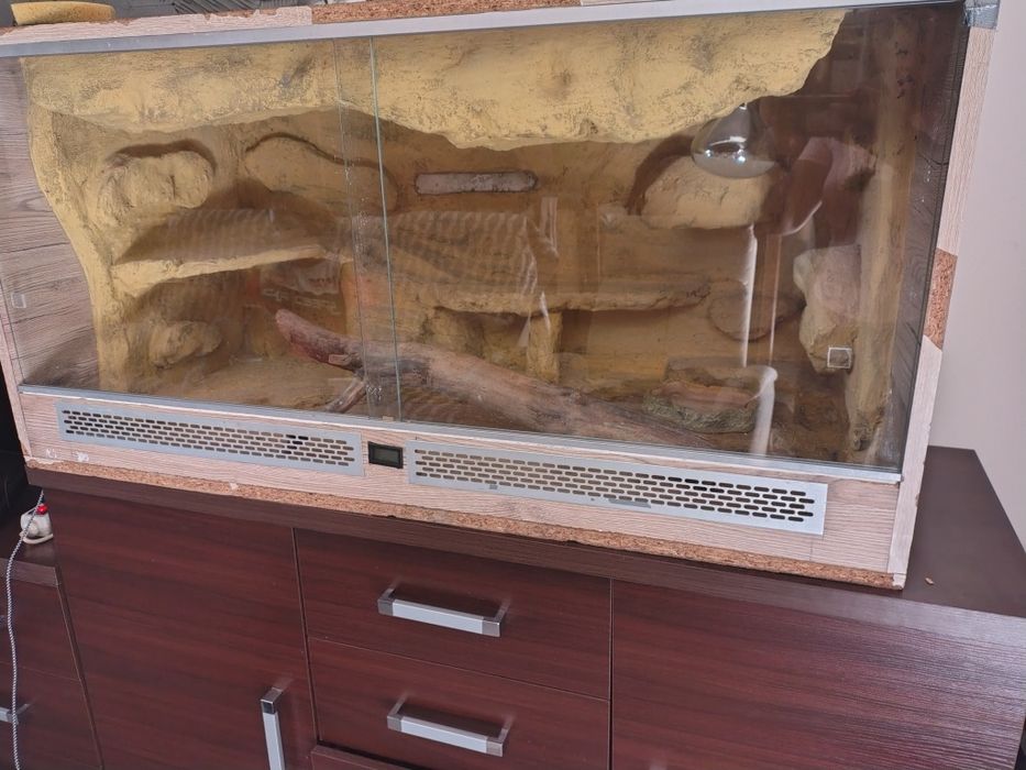 Terrarium dla jaszczurki