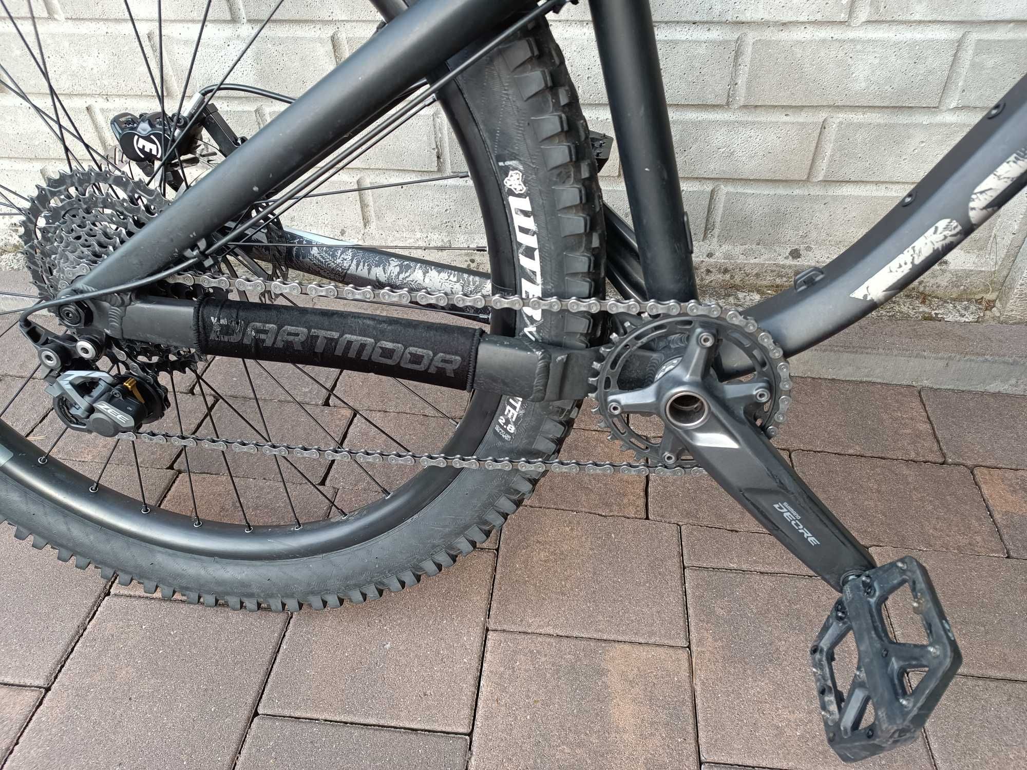 Dartmoor hornet 2021