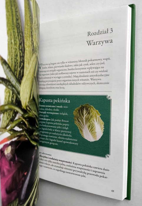 100 naturalnych produktów według Tradycyjnej Medycyny Chińskiej, NOWA!