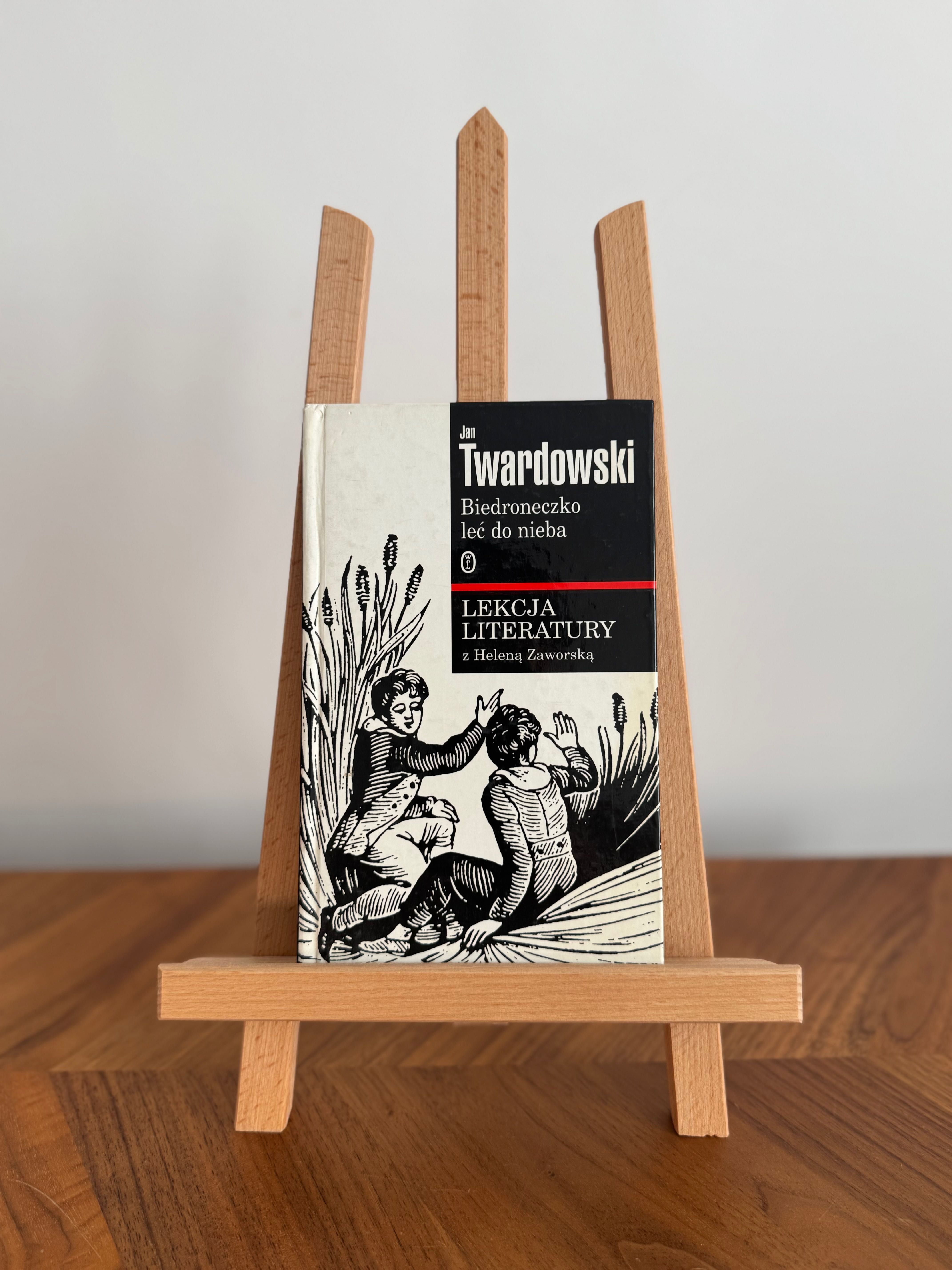 Biedroneczko leć do nieba – Jan Twardowski