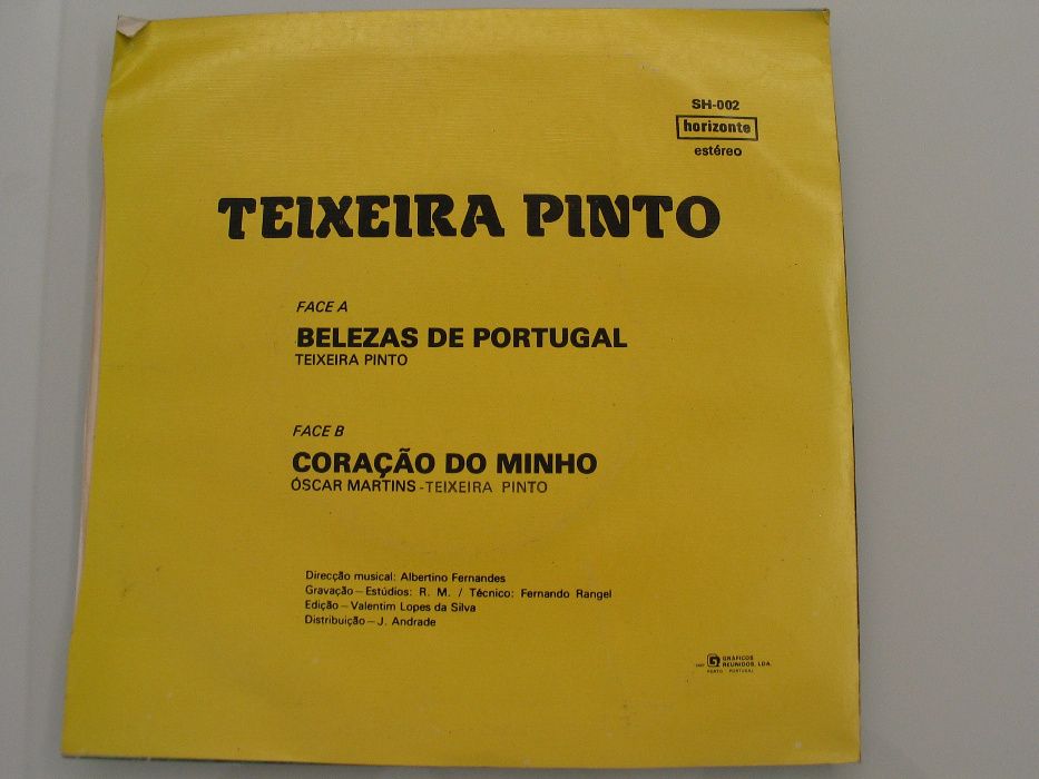 Vinil - Teixeira Pinto