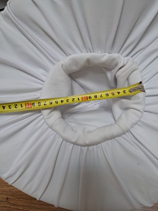 Мухомор, білий гриб, коричневий гриб