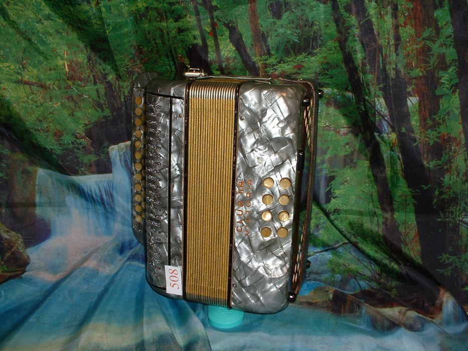 Concertina n. 508