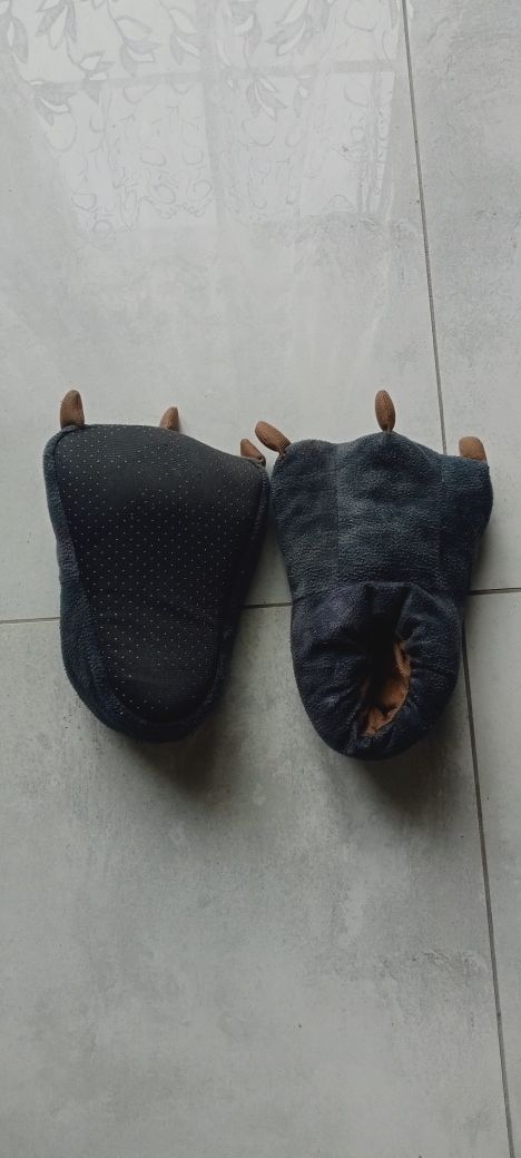 Kapcie nogi dinozaura