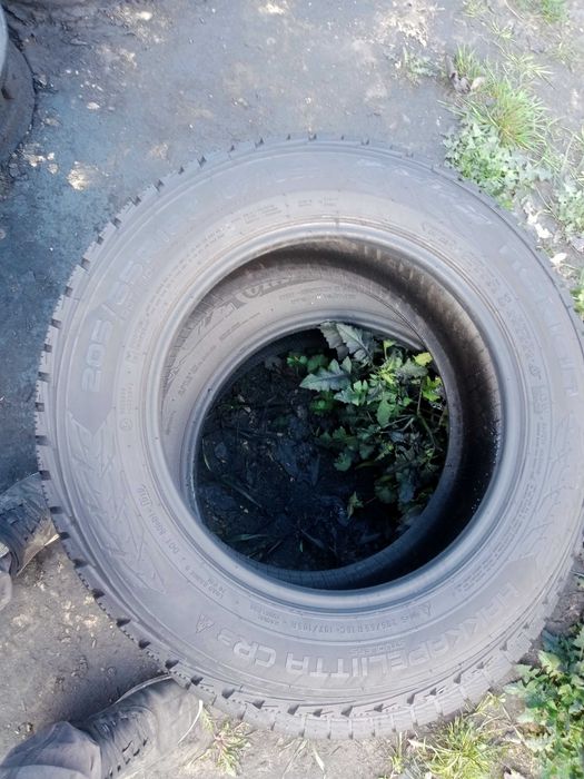 205 65 r16c Nokian 2019p Nokian