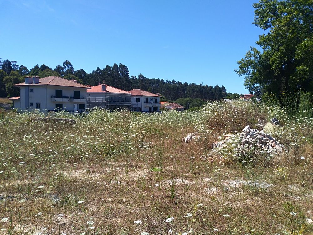 Terreno em Árvore