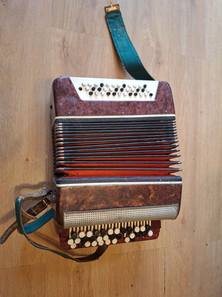 Harmonia guzikowa, akordeon