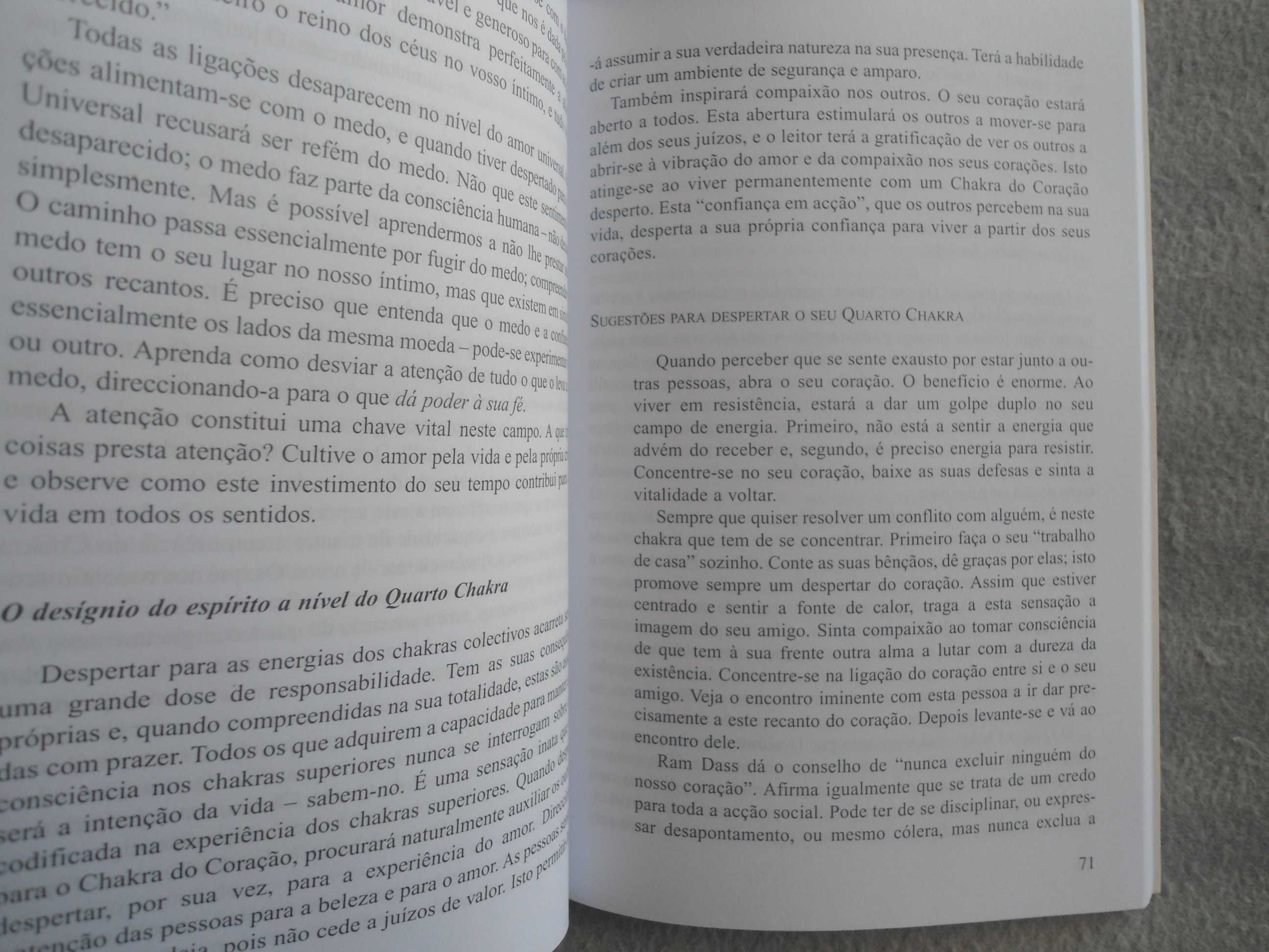 Chakras para principiantes-Para equilibrar a energia dos seus chakras