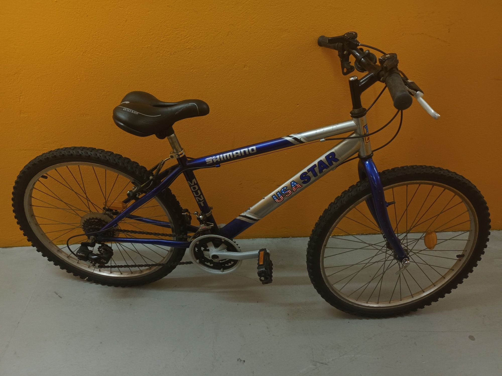 Bicicleta roda 24