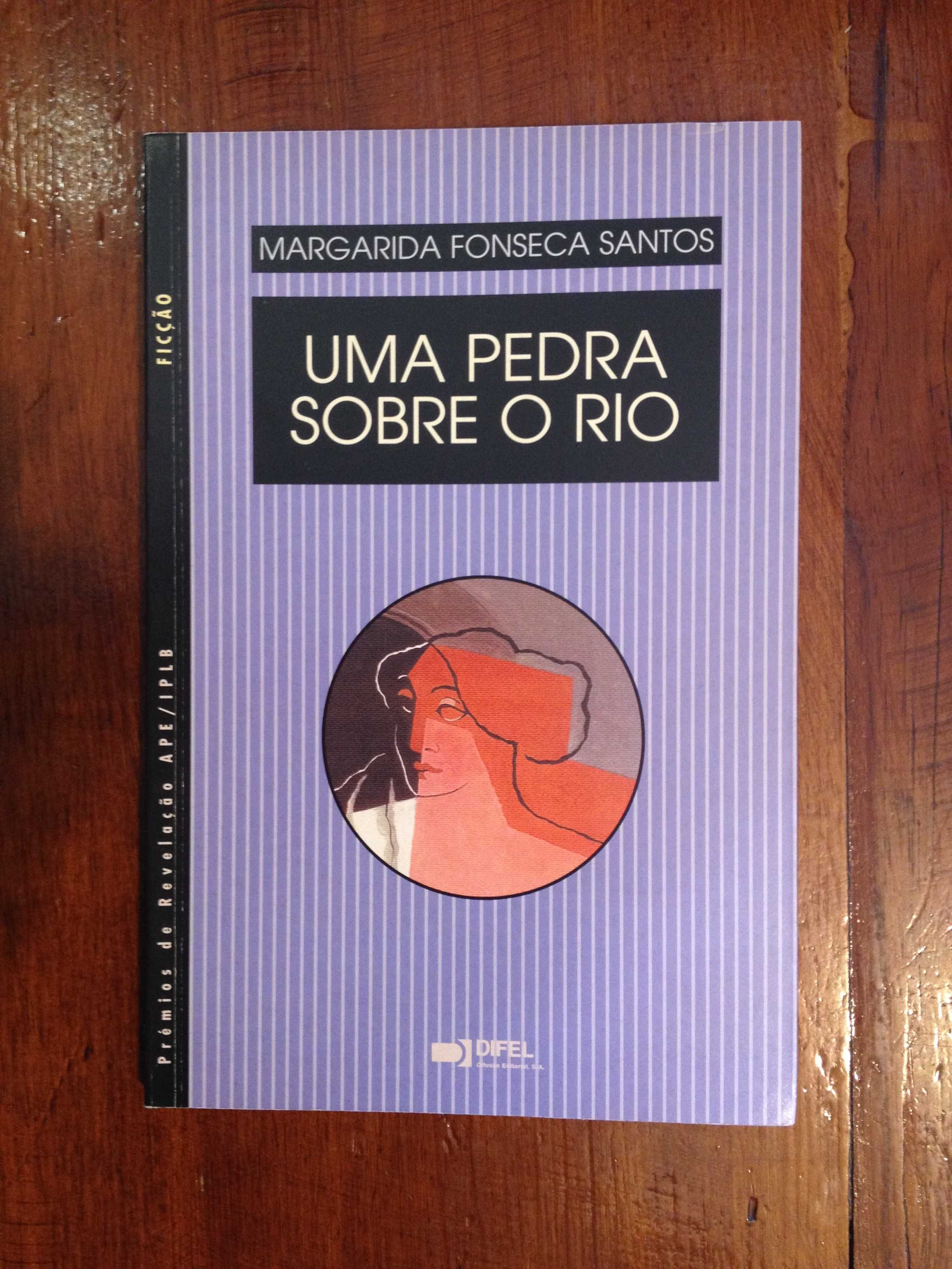 Margarida Fonseca Santos - Uma pedra sobre o rio