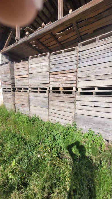 Skrzyniopalety drewniane na warzywa owoce drewno, solidne 250 szt.