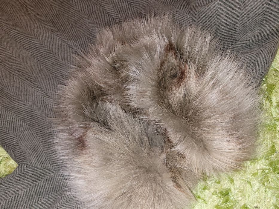 Płaszcz wełniany zimowy Gardeur z lisem XL