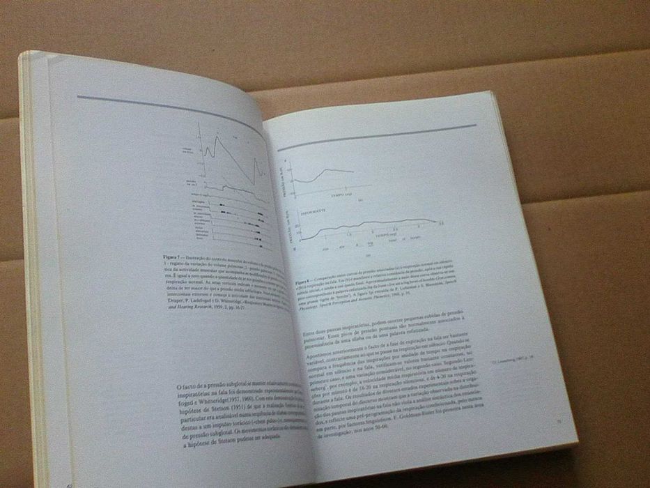 Fonética, fonologia e morfologia do português