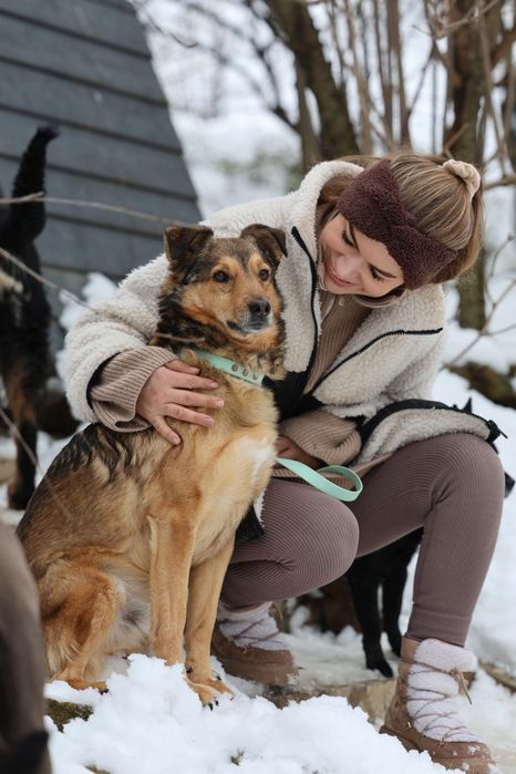 Przytulaśny samiec do adopcji