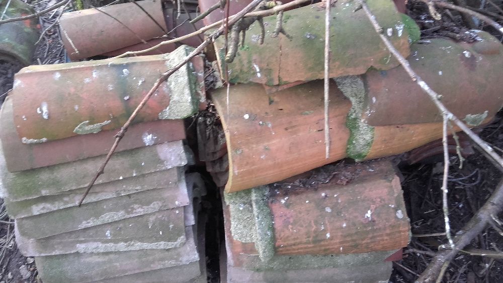 Gasior Gosiory do Dachowki Karpiowki Betonowej