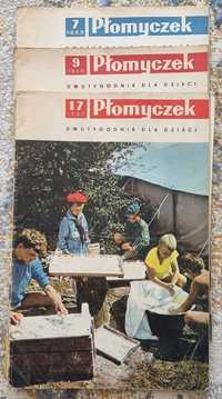 Płomyczek dwutygodnik 20 sztuk