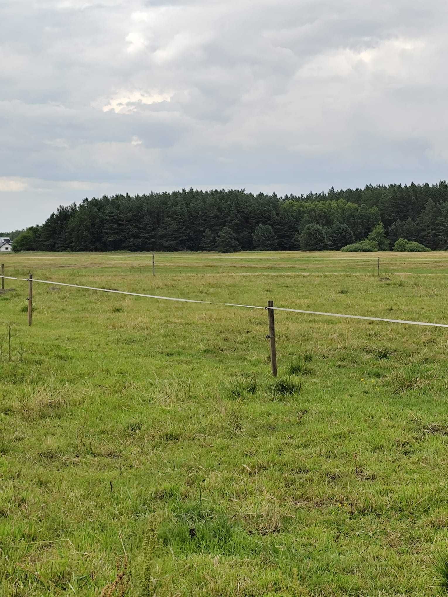 Piękna działka siedliskowa w malowniczej wsi