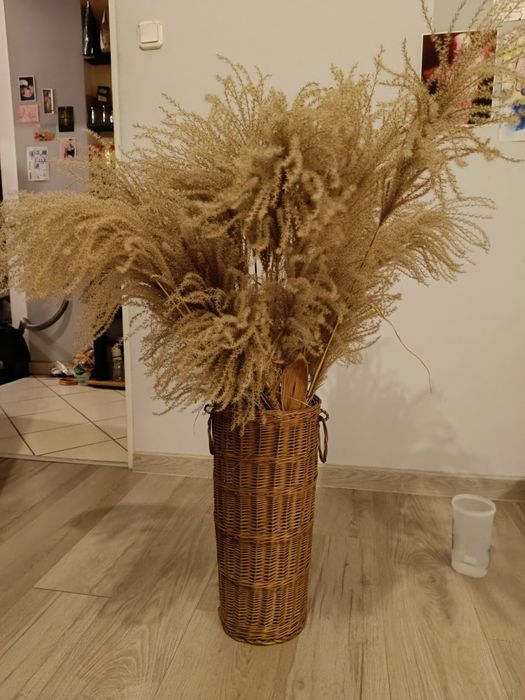 Trawy ozdobne w koszyku wiklinowym