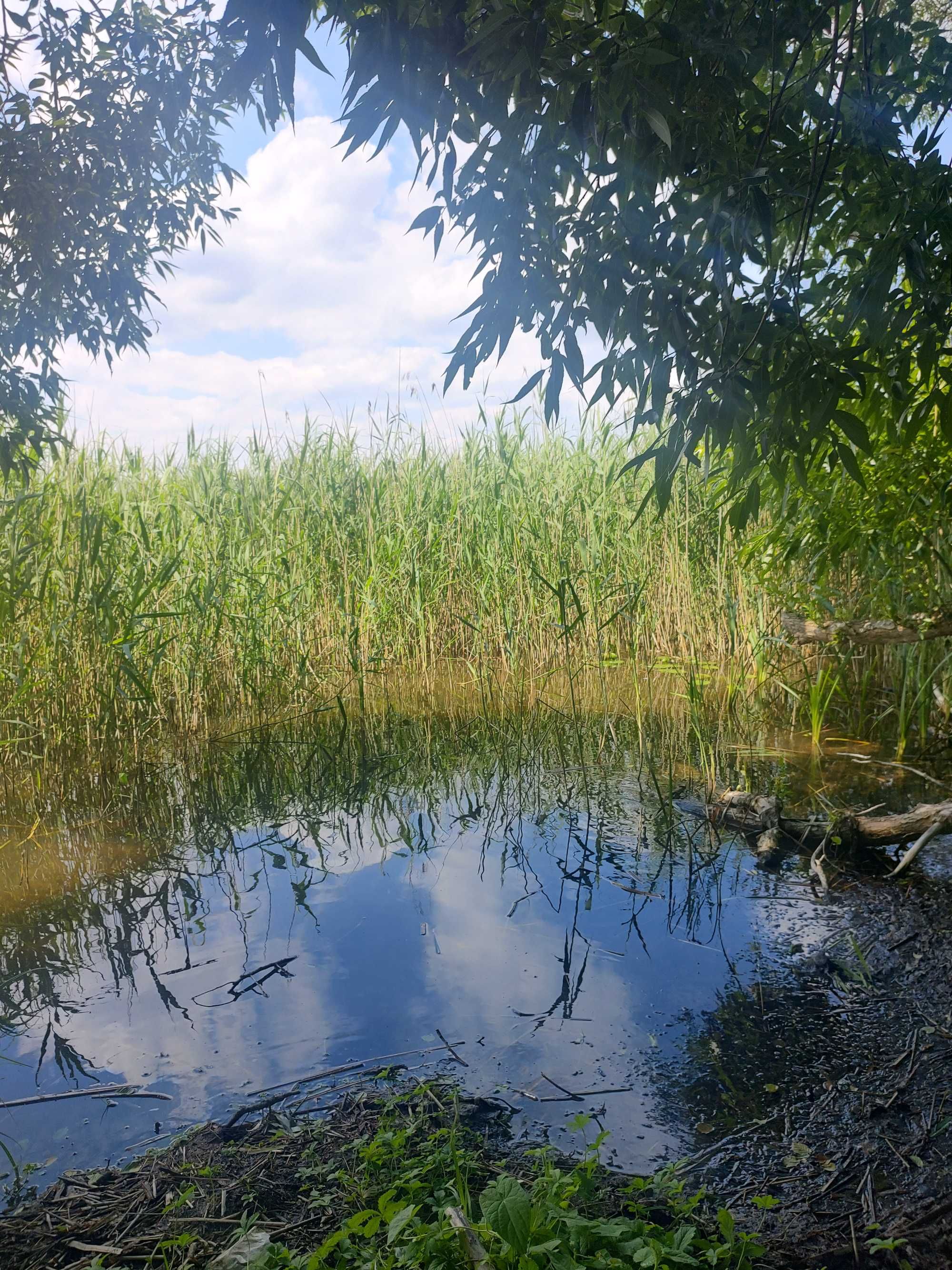 Działka nad jeziorem Jeziorak 30 arów
