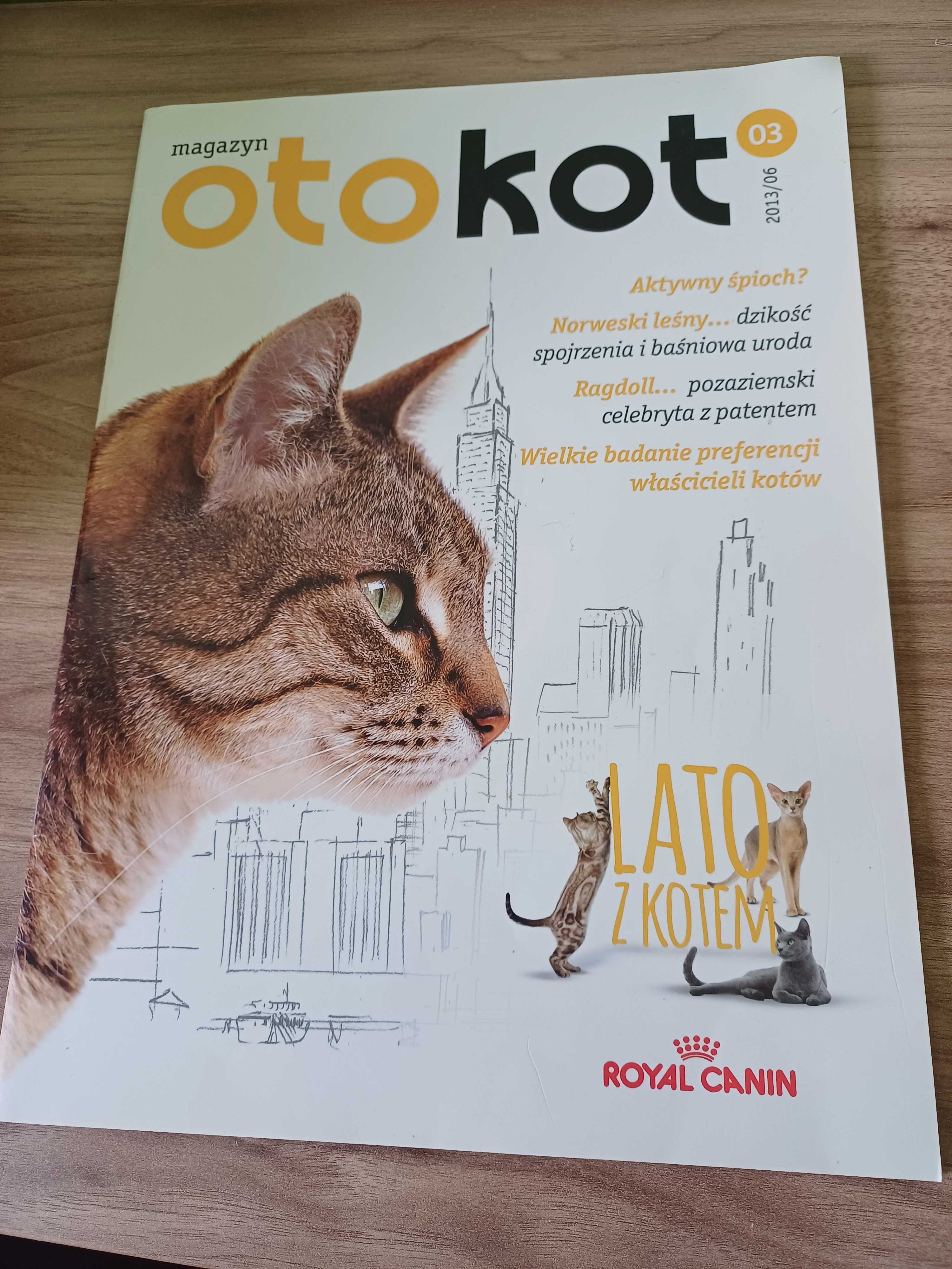 Oto kot magazyn Royal Canin