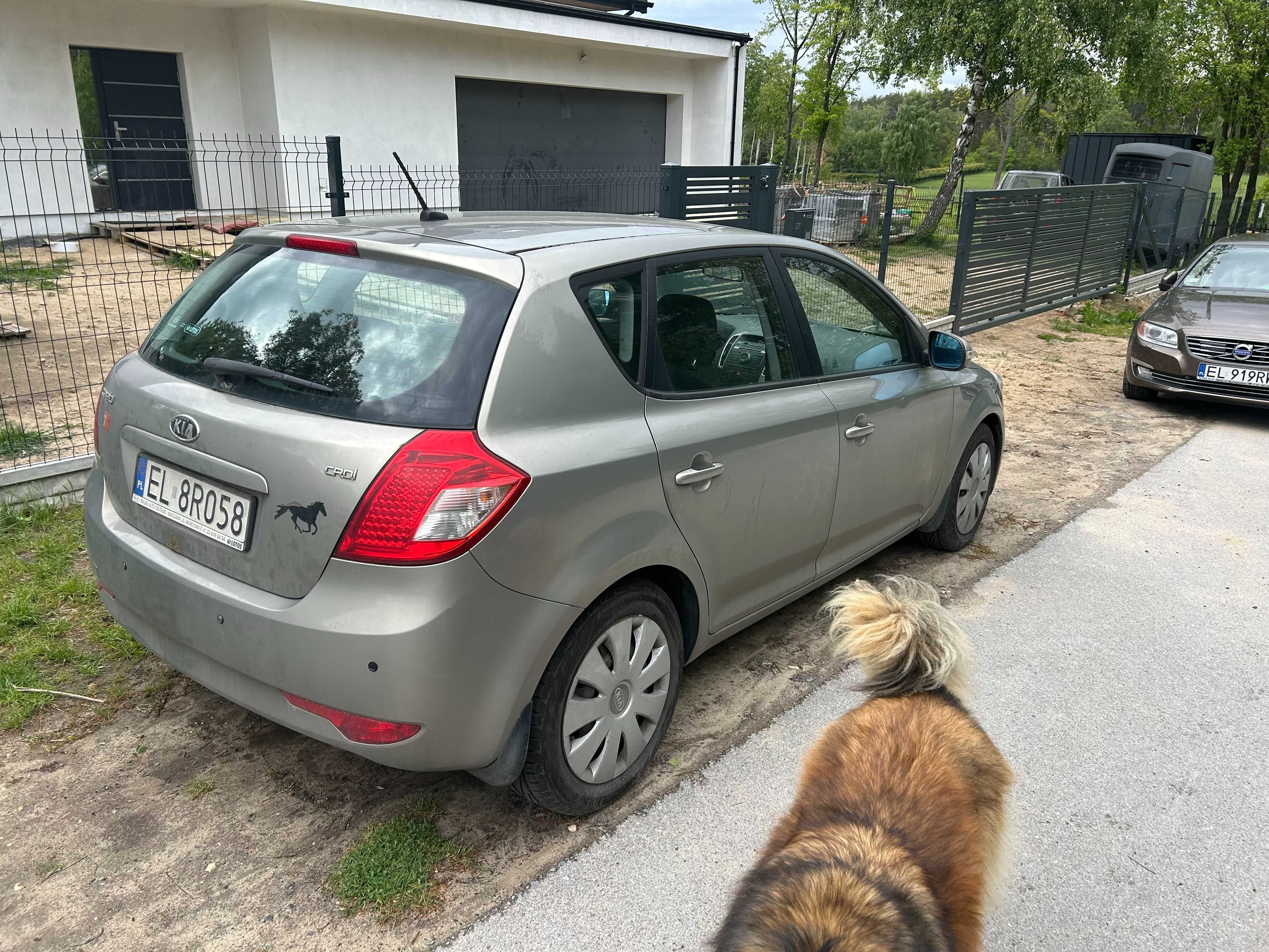 Kia Ceed 1.6 crdi 115KM 2010r. polift