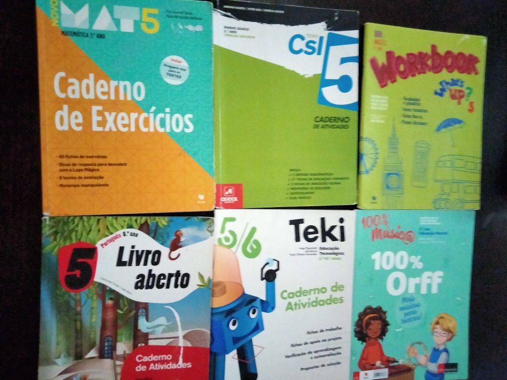 Livros 5/6 ano de escolaridade.