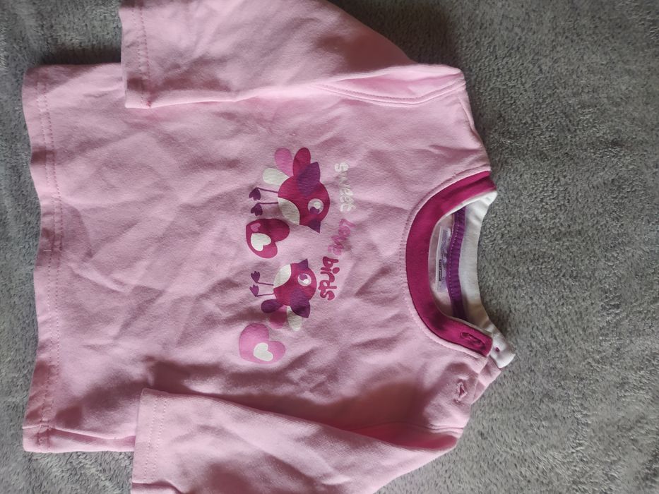 Bluza coccodrillo r 80