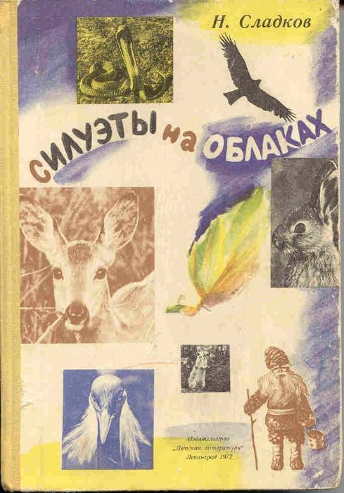 Детские книги для младшего и среднего школьного возраста