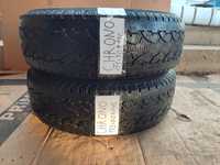 Шини  175/70 R14С  Pirelli Italy