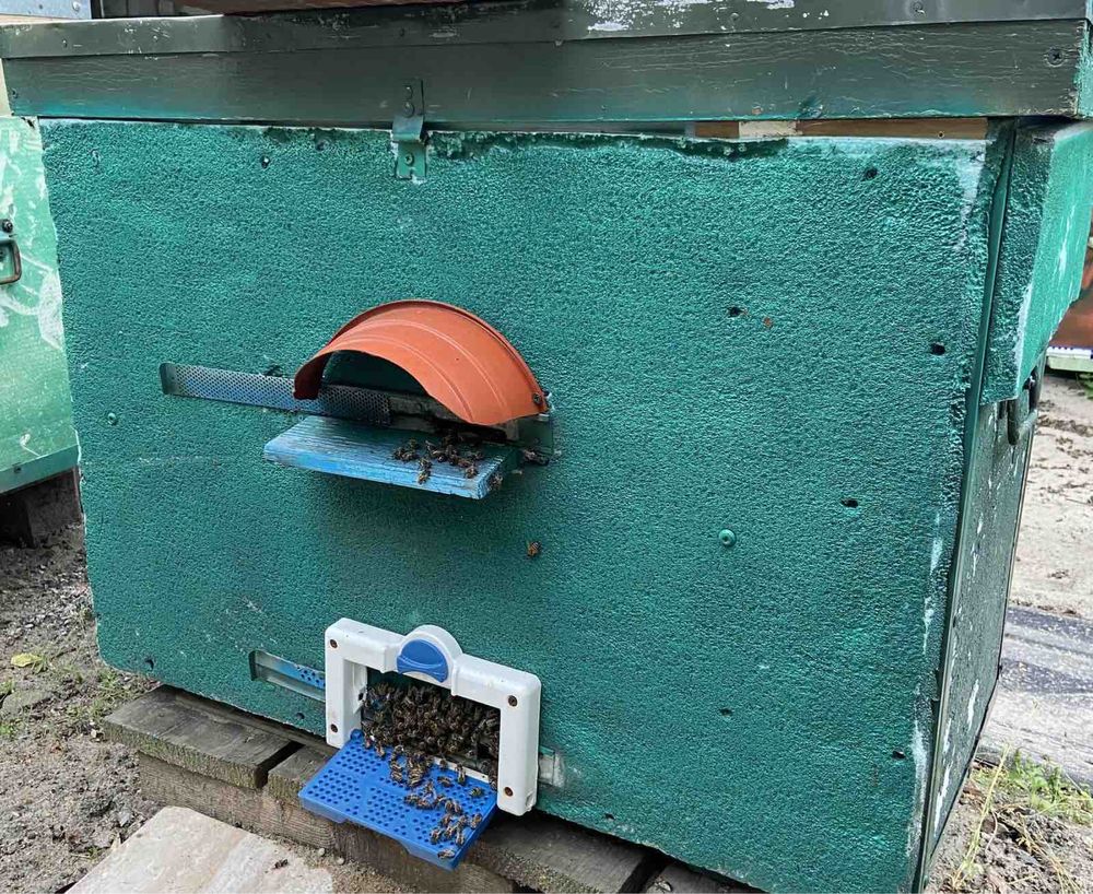 Вулики з українською рамкою з бджолами