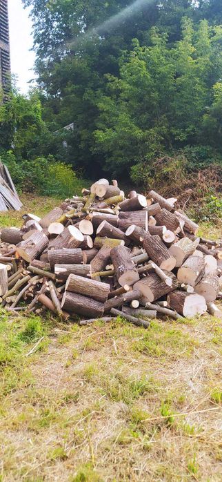 Продам дрова  , щепа  для опалення  твердих порід