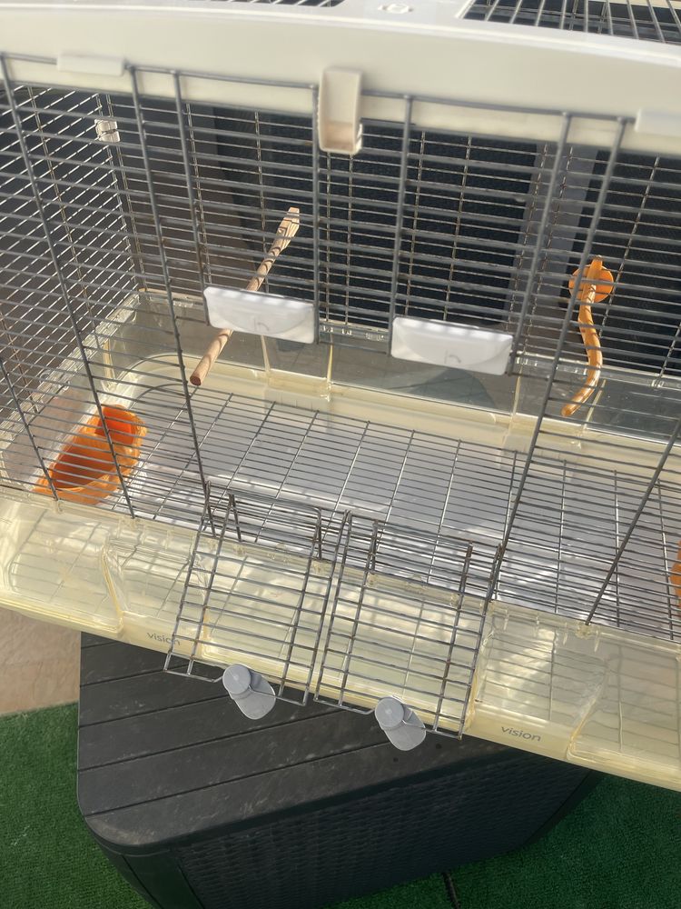 Gaiola para animais