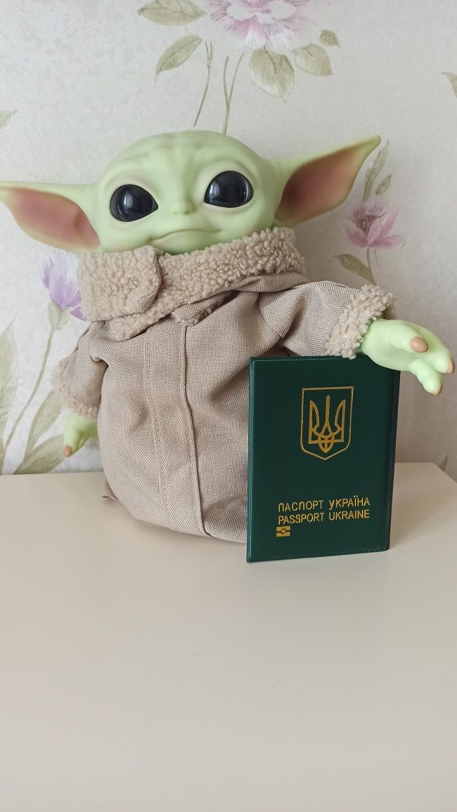 Україна обкладинка на паспорт загран паспорт обложка закордонний зсу