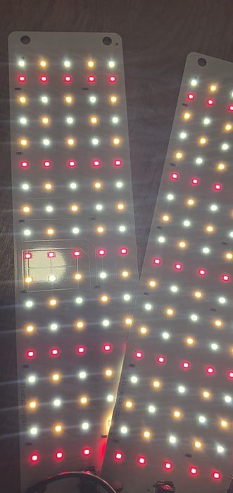 Luz led estufa plantas