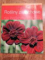 ogród rośliny zapachowe pachnące   poradnik